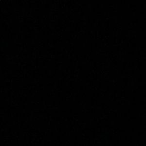 Meet your Posher, Gavin